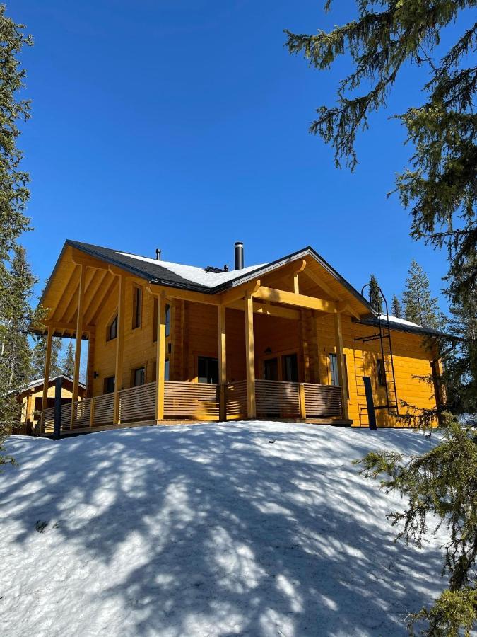 Lapland Dream Villas Rauhala Bagian luar foto