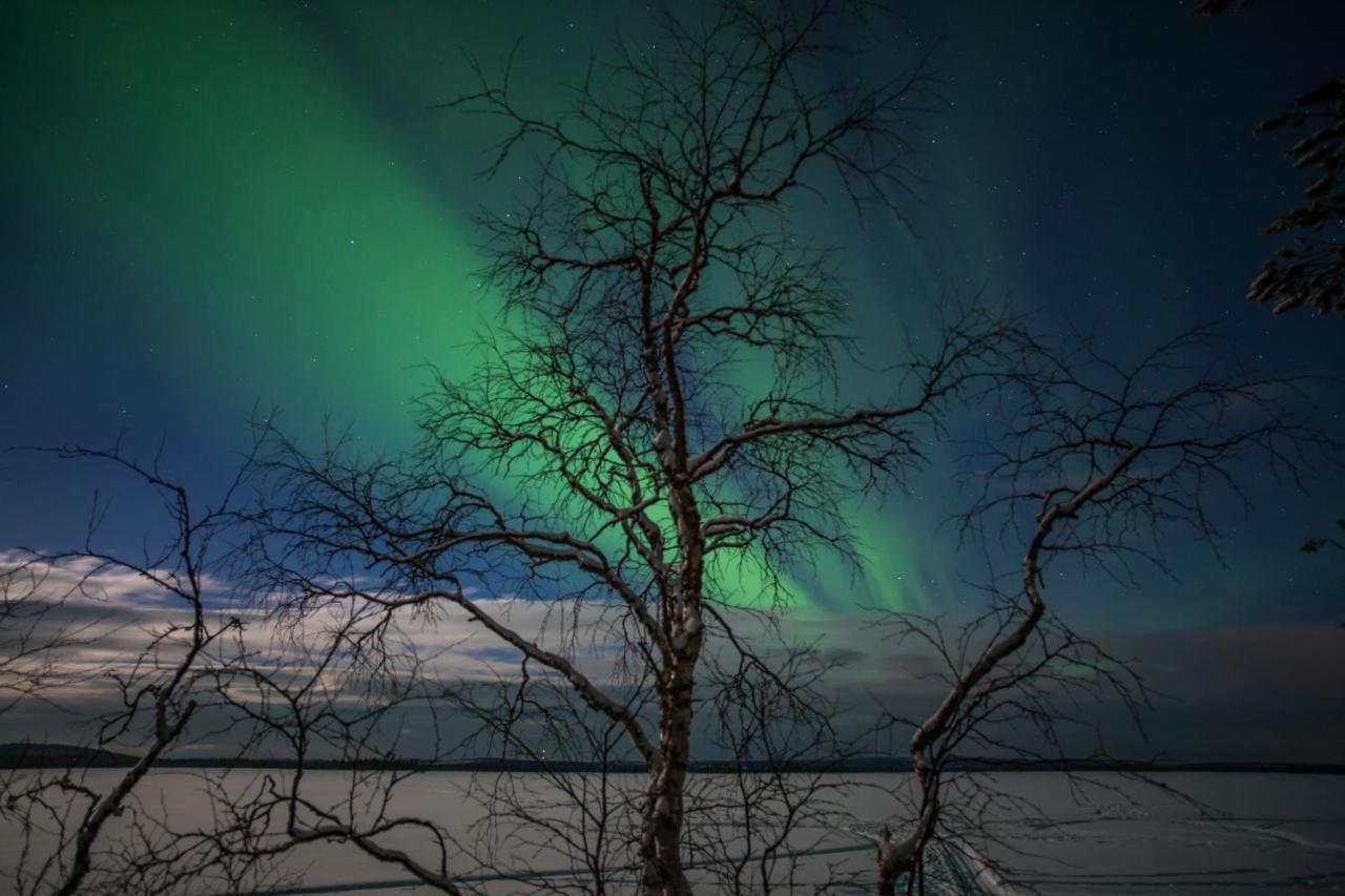 Lapland Dream Villas Rauhala Bagian luar foto