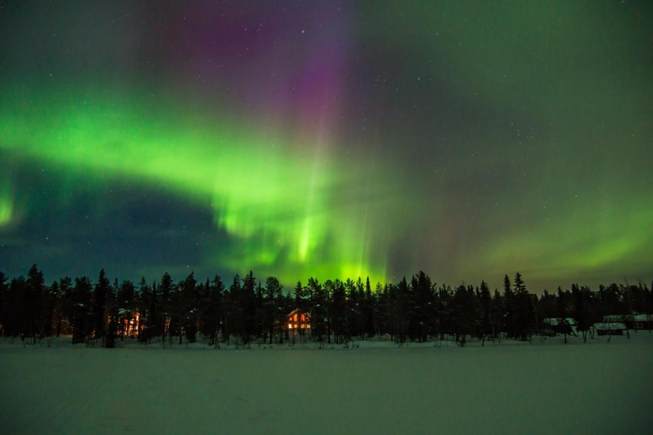 Lapland Dream Villas Rauhala Bagian luar foto