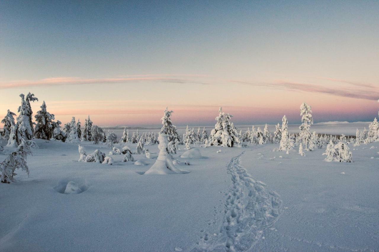 Lapland Dream Villas Rauhala Bagian luar foto